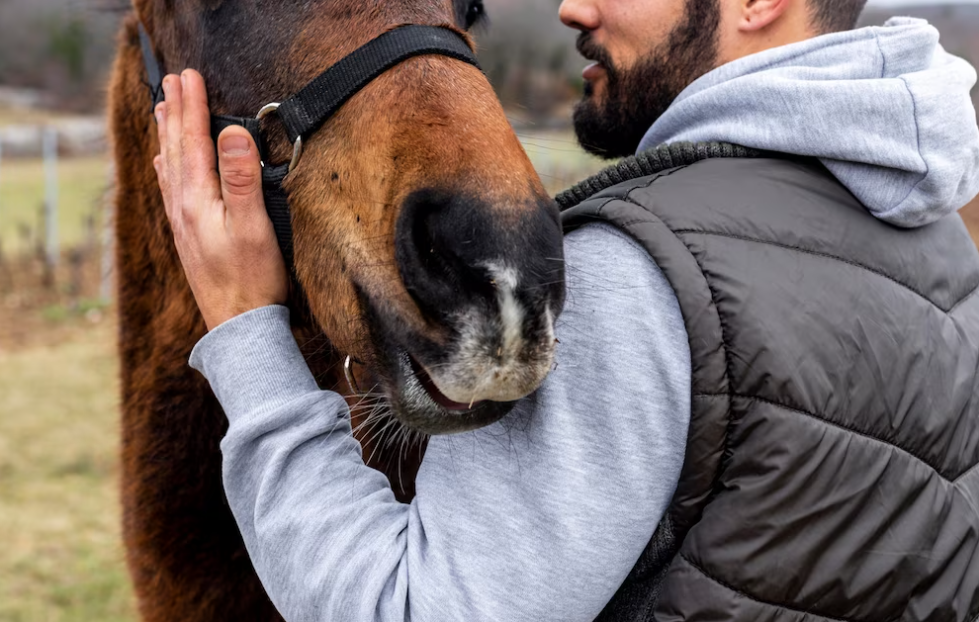 Preventing Common Equine Diseases