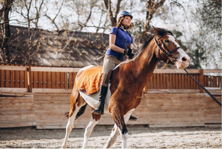 First Steps in the Saddle