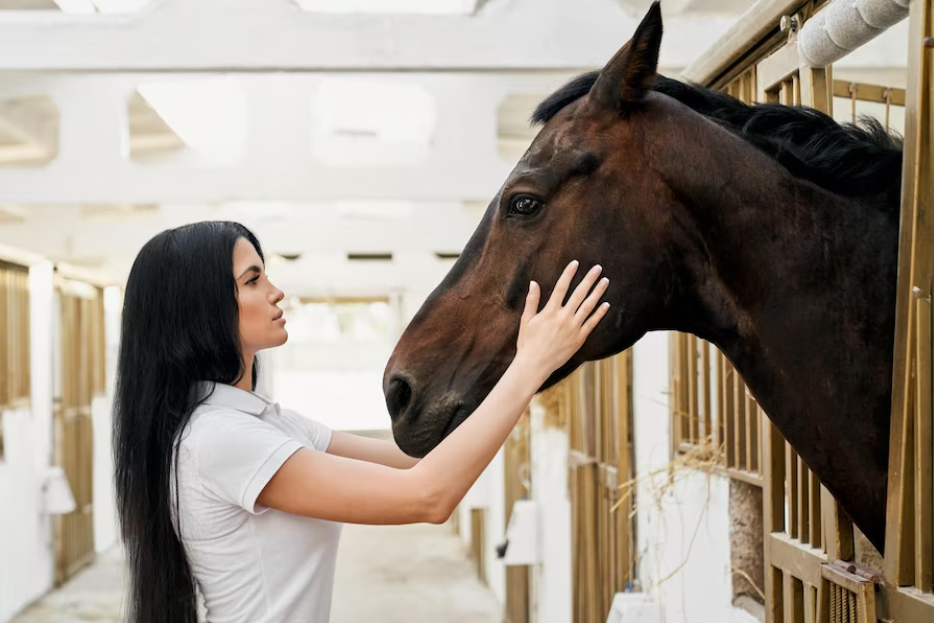 The Fundamentals of Horse Nutrition