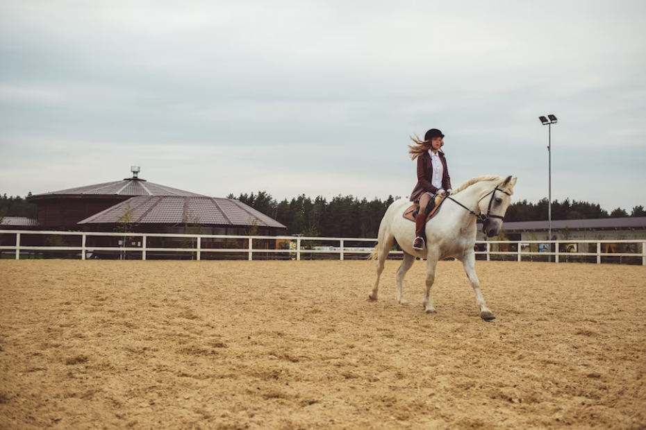 The Future of Equestrian Sports