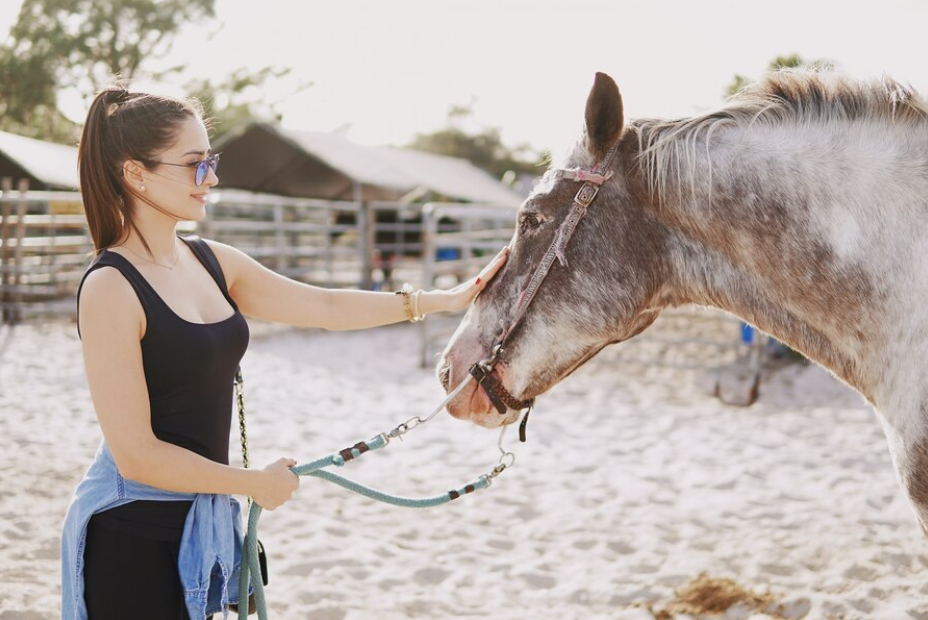 The Therapeutic Power of Horses