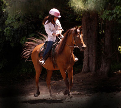 Horseback Riding Vacations