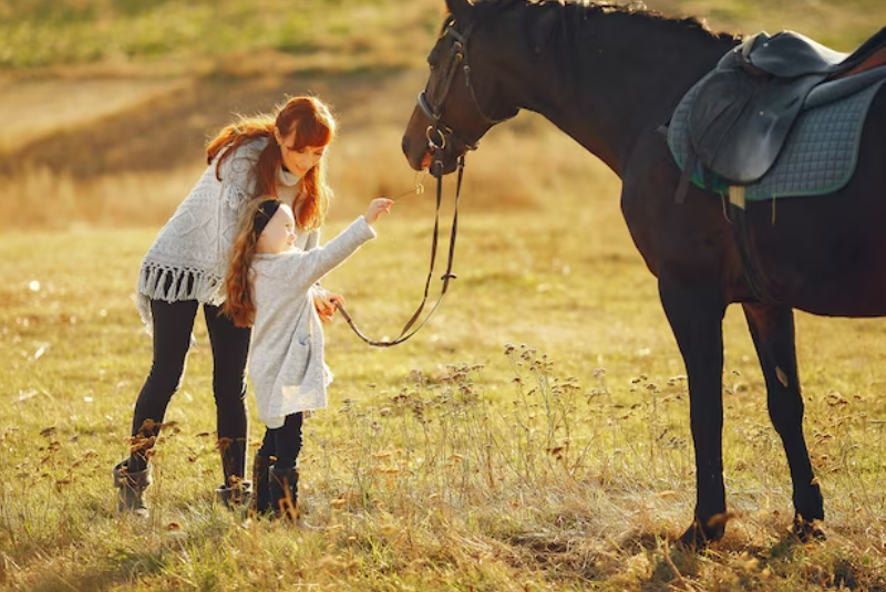Building a Strong Connection with Your Horse: The Key to Understanding and Cultivating Their Affection