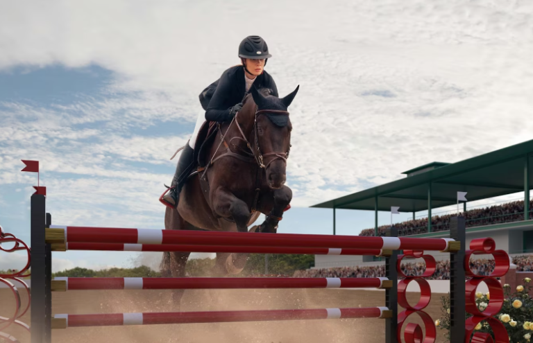 Groundwork Exercises for Building a Strong Bond with Your Horse