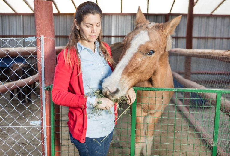 Nutrition Tips for Optimal Horse Health