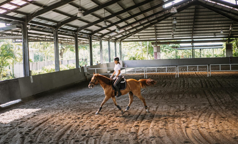 Training Techniques for Sustainable Equine Facilities