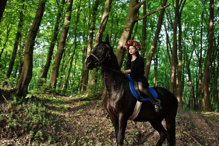 Black Forest Horse - The Endangered German Beauty